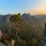 Gansfelsen, Saxon Switzerland, Germany