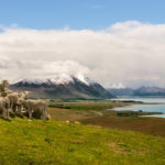 Lake Tekapo, South Island, New Zealand